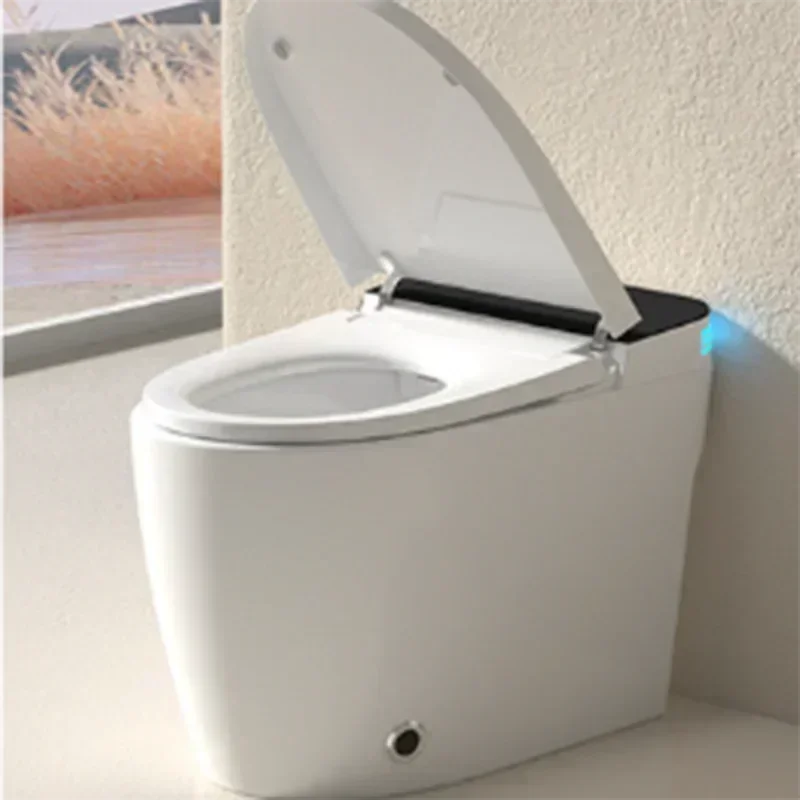 Portable smart toilet, bathroo - Home One Bathroom Accessories reseña y precio