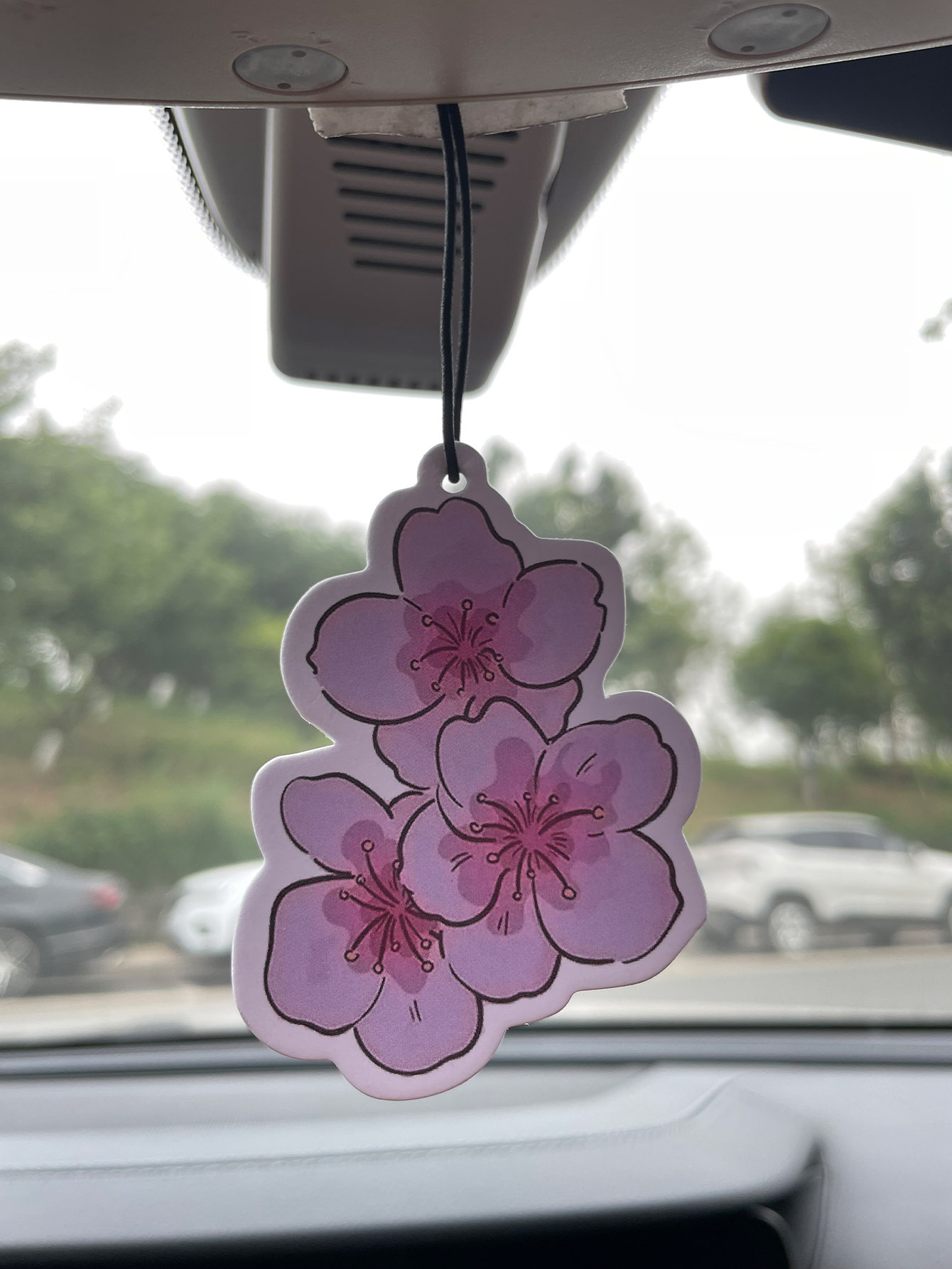 Sakura/Freesia Fresh Scent Fiv - Home Bathroom Freshener reseña y precio