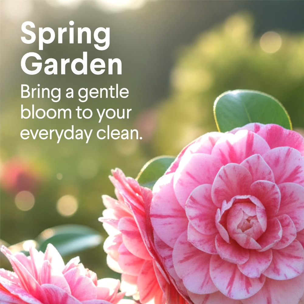 All Purpose Cleaner Spring Gar - Home Bathroom Cleaning Solution reseña y precio